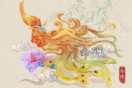 2003年01月02日的人命好吗 这天的孩子命好吗