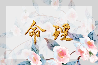 2002年05月04日生辰八字查询 五行缺什么