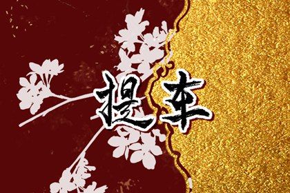 2025年农历正月十四提车好吗 提新车吉利吗
