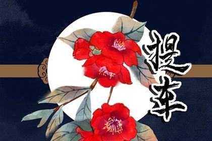 2025年05月09日提车好吗 今日提新车好不好